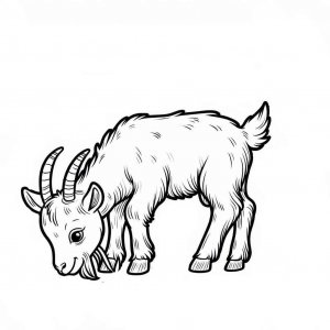 Goat coloring page - picture 13