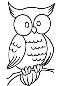 Owl coloring page - picture 1