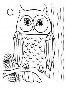 Owl coloring page - picture 10