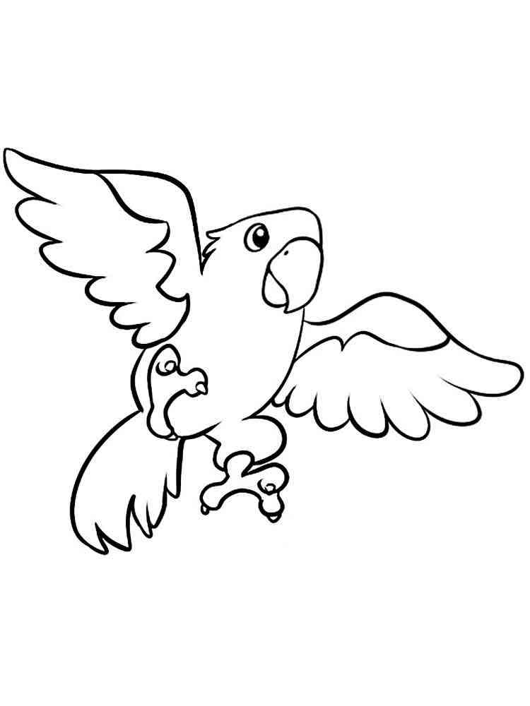 Parrot coloring pages. Download and print parrot coloring pages