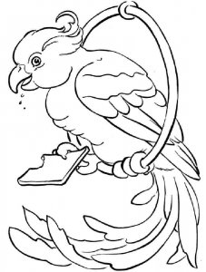 parrot coloring page - picture 23