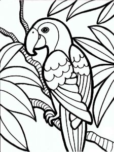 parrot coloring page - picture 24