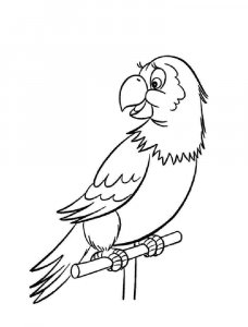 parrot coloring page - picture 25