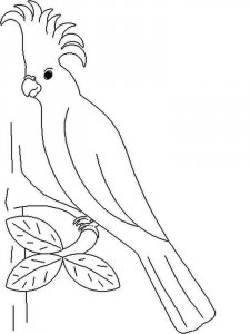 parrot coloring page - picture 28