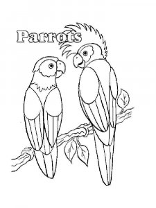 parrot coloring page - picture 30