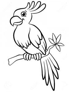 parrot coloring page - picture 12