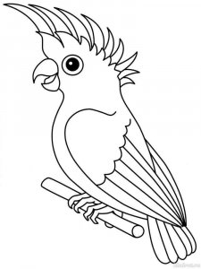 parrot coloring page - picture 15