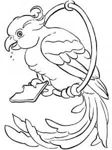 parrot coloring page - picture 16