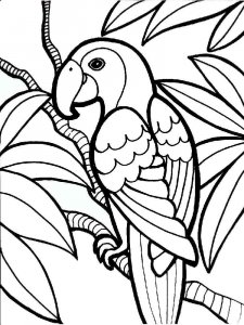 parrot coloring page - picture 9