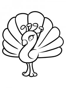 Peacock coloring page - picture 9