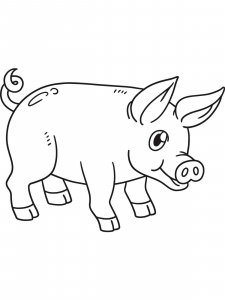 Pig coloring page - picture 10