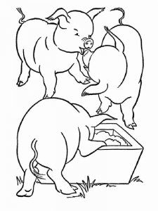 Pig coloring page - picture 12