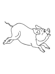 Pig coloring page - picture 13