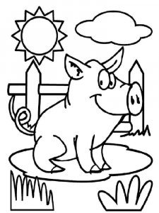 Pig coloring page - picture 16