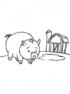 Pig coloring page - picture 18