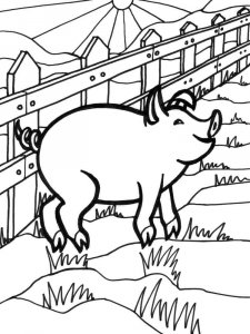 Pig coloring page - picture 20