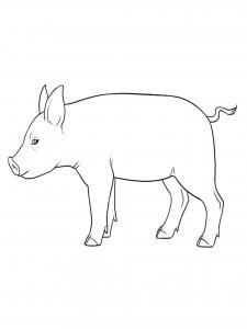Pig coloring page - picture 21