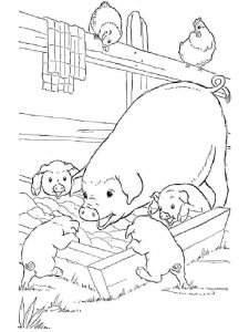 Pig coloring page - picture 22