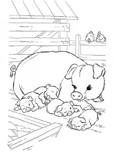 Pig coloring page - picture 24