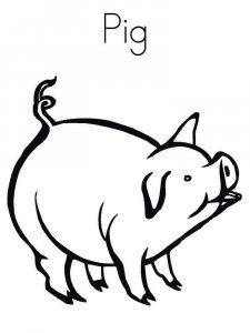 Pig coloring page - picture 26