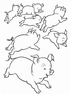 Pig coloring page - picture 27