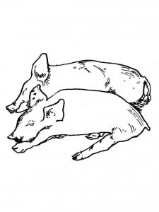 Pig coloring page - picture 28