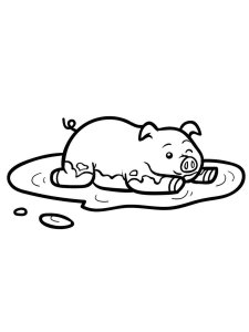 Pig coloring page - picture 3