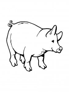 Pig coloring page - picture 32