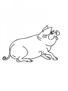 Pig coloring page - picture 34