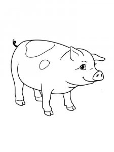 Pig coloring page - picture 37
