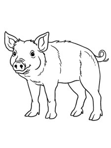 Pig coloring page - picture 4