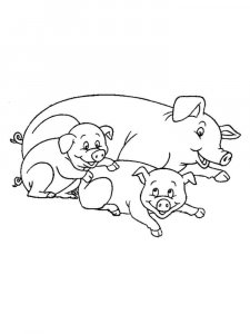 Pig coloring page - picture 40