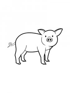 Pig coloring page - picture 49