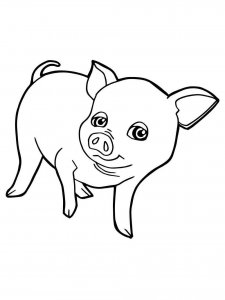 Pig coloring page - picture 5