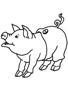 Pig coloring page - picture 50