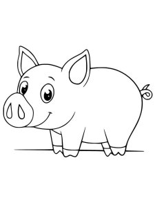 Pig coloring page - picture 51