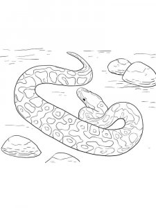 Python coloring page - picture 14