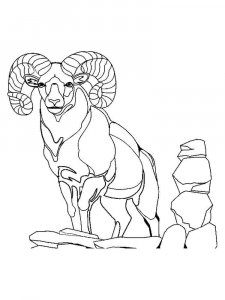 ram coloring page - picture 14