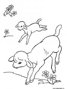 ram coloring page - picture 24