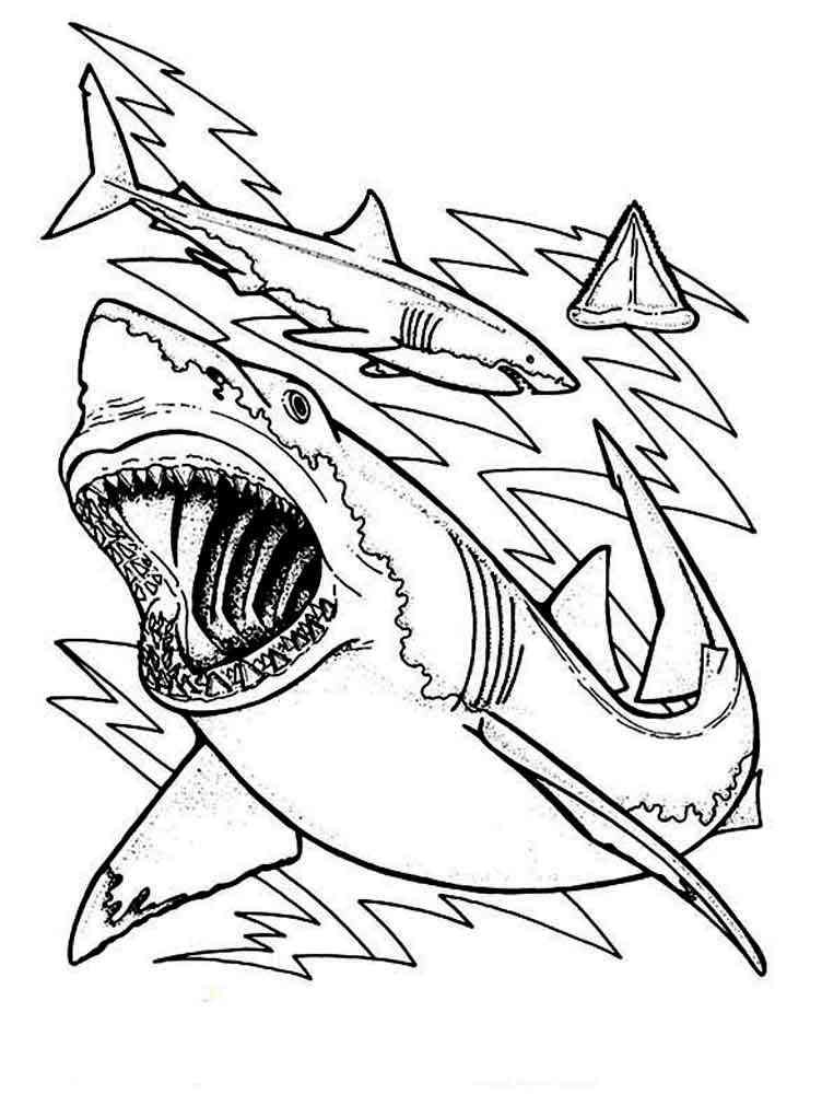 coloring pages animals sharks 10
