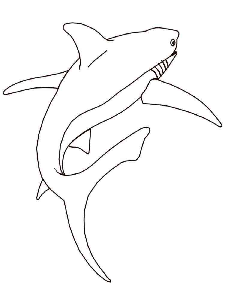 Sharks Coloring Pages Download Print Animals 11 Dolphins