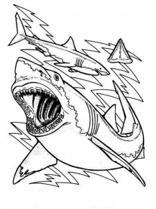 Shark coloring page - picture 36