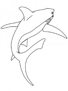 Shark coloring page - picture 37