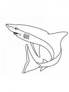Shark coloring page - picture 40