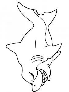 Shark coloring page - picture 31