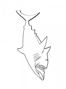 Shark coloring page - picture 32