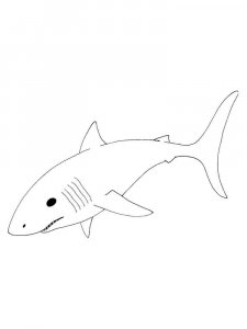 Shark coloring page - picture 12