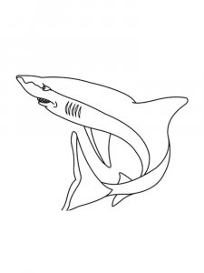 Shark coloring page - picture 20