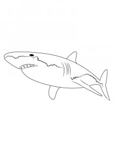 Shark coloring page - picture 25