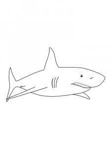 Shark coloring page - picture 4